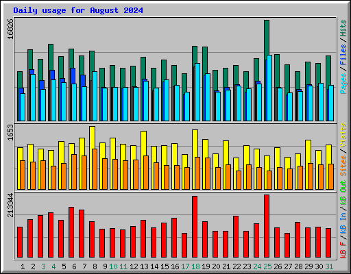 Daily usage for August 2024