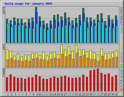 Daily usage for January 2025