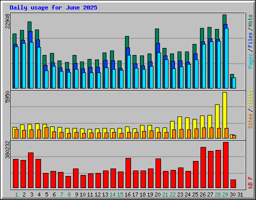 Daily usage for June 2025