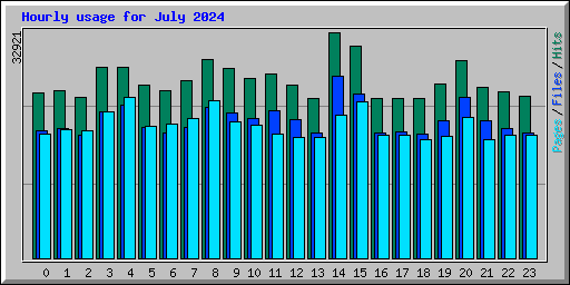 Hourly usage for July 2024