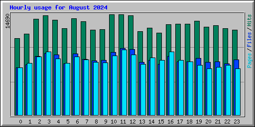 Hourly usage for August 2024