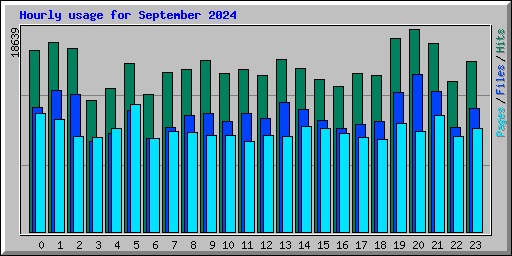 Hourly usage for September 2024