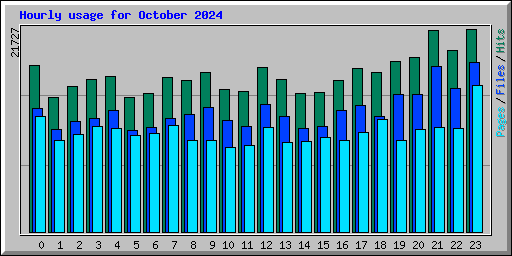 Hourly usage for October 2024