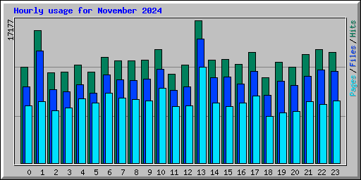 Hourly usage for November 2024