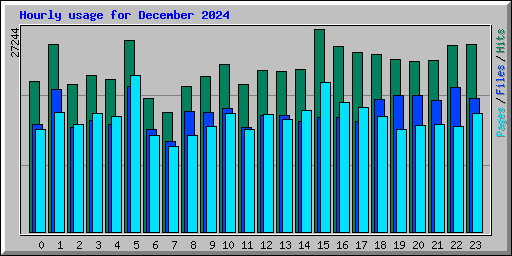 Hourly usage for December 2024