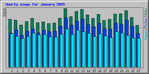 Hourly usage for January 2025