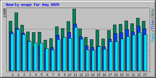 Hourly usage for May 2025