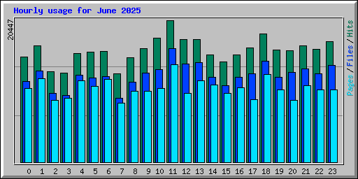 Hourly usage for June 2025