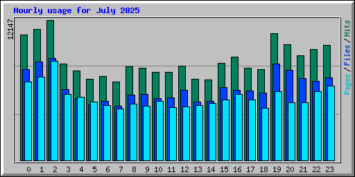 Hourly usage for July 2025