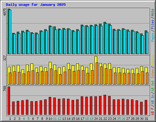 Daily usage for January 2025