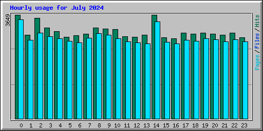 Hourly usage for July 2024