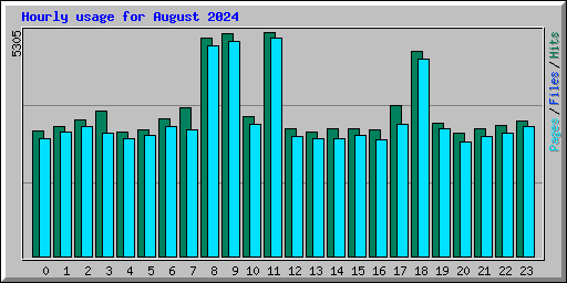 Hourly usage for August 2024