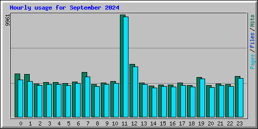 Hourly usage for September 2024