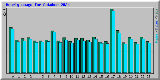 Hourly usage for October 2024