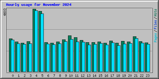 Hourly usage for November 2024