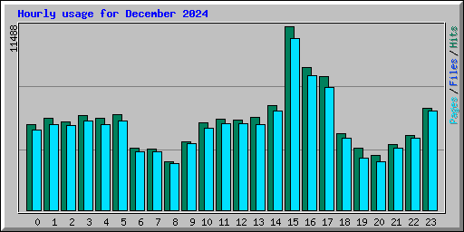 Hourly usage for December 2024