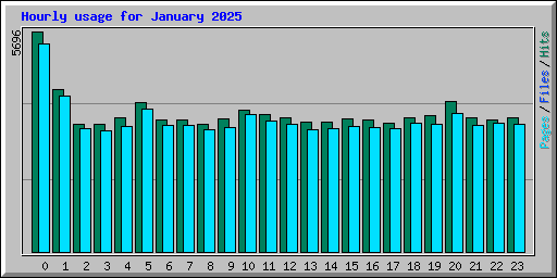 Hourly usage for January 2025