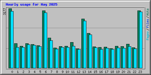 Hourly usage for May 2025
